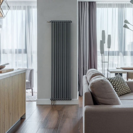 Радиатор стальной Arbonia 2180/08 N69 твв 1/2 SF-3 Anthrazit 2-х трубчатый Радиатор стальной Arbonia 2180/08 N69 твв 1/2 SF-3 Anthrazit 2-х трубчатый